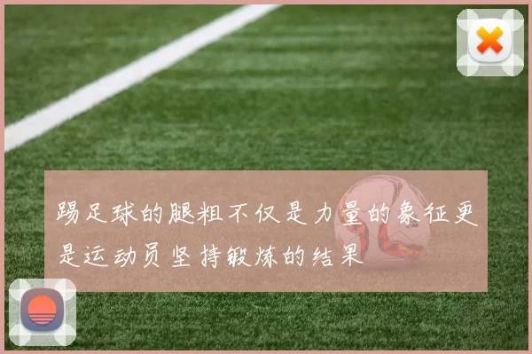踢足球的腿粗不仅是力量的象征更是运动员坚持锻炼的结果