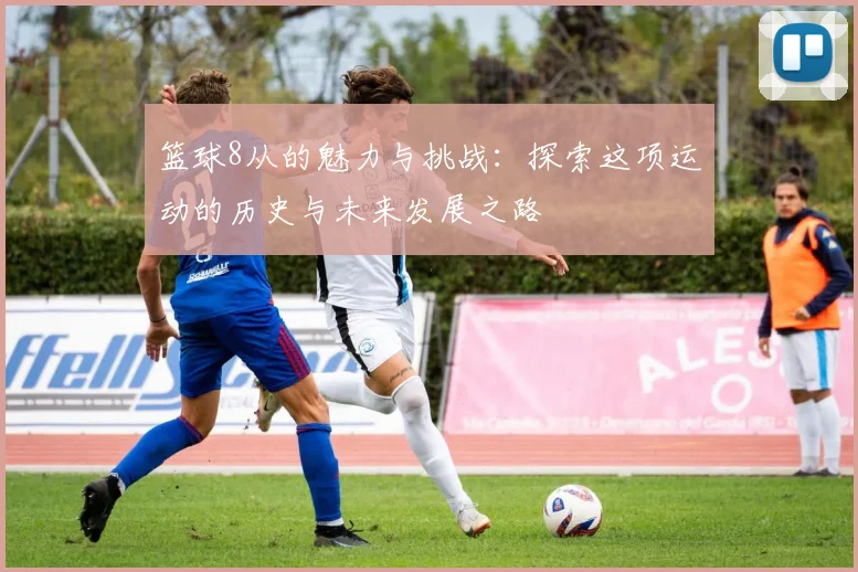 篮球8从的魅力与挑战：探索这项运动的历史与未来发展之路